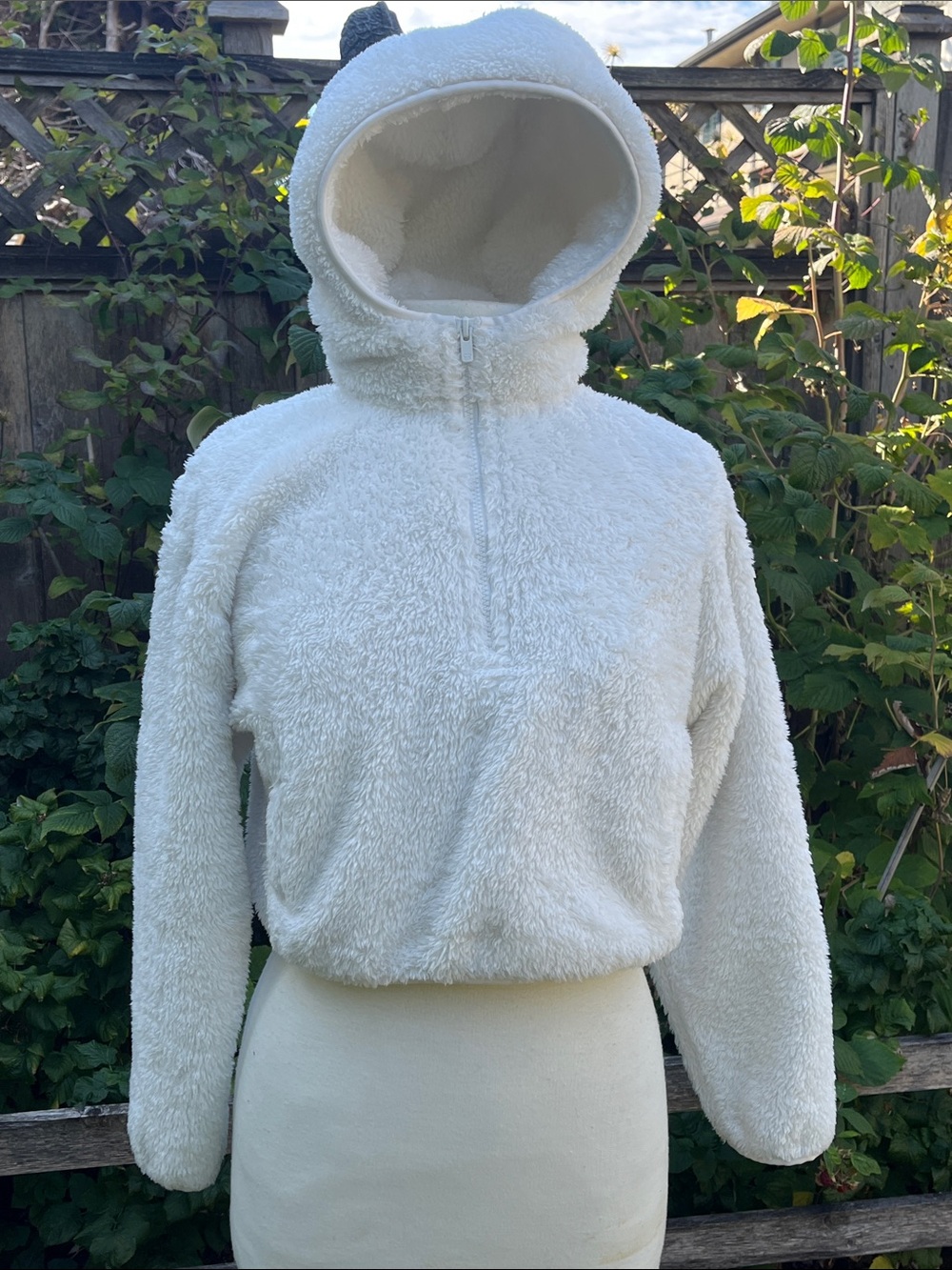 Aritzia Sunday Best Fuzzy Zip Hoodie